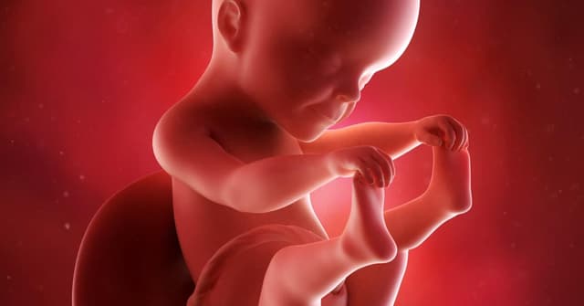 Gebeliğin 25. Haftasında Sizi ve Bebeğinizi Neler Bekliyor? image