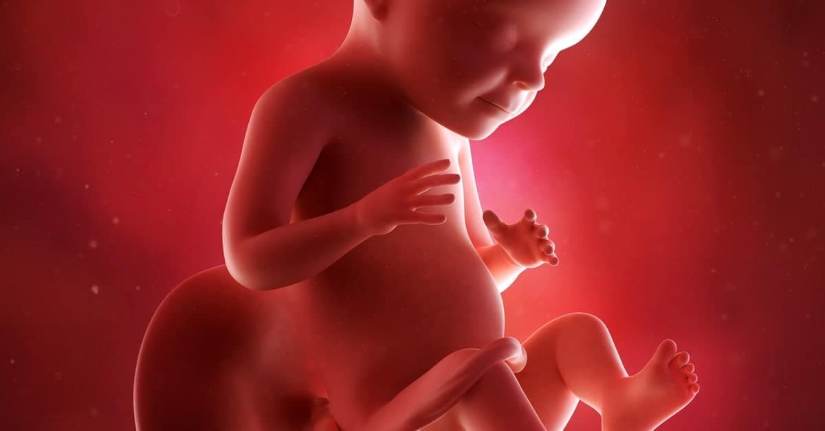 28 Haftalık Gebelikte Bebeğinizde ve Sizde Neler Oluyor? kapak resmi