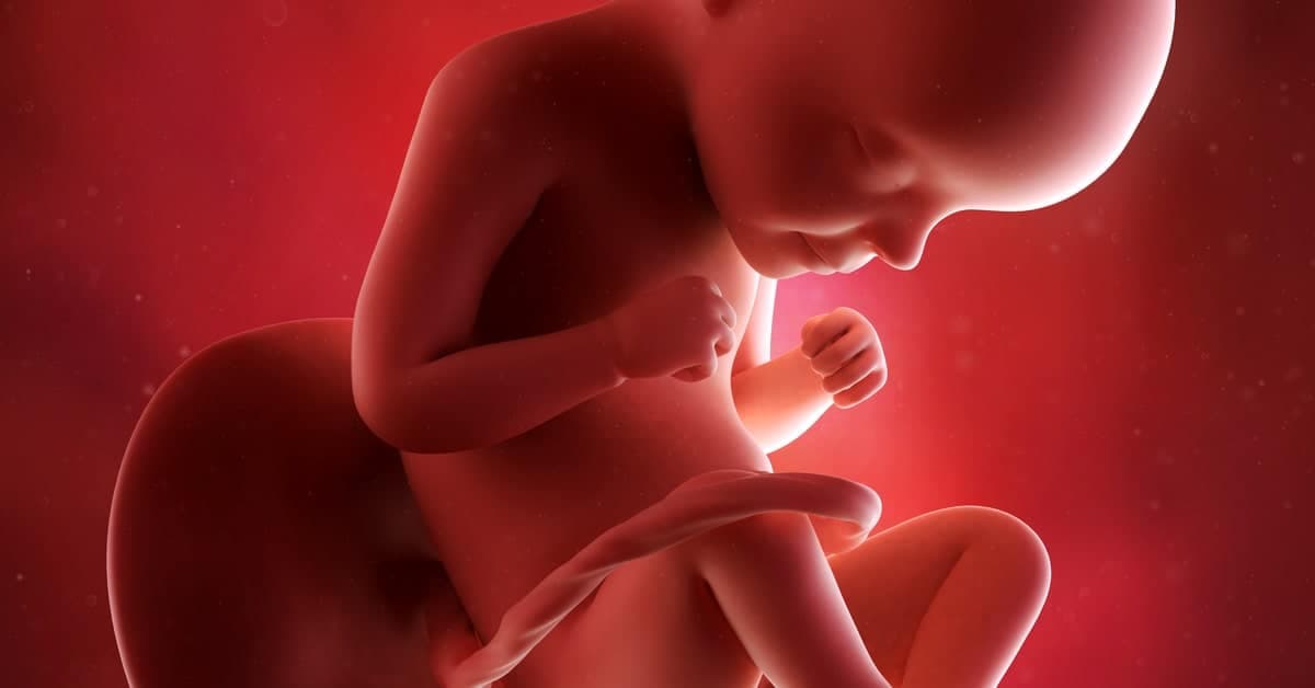 29. Haftada Gebelikte Bebek ve Anne: Gelişim, Semptomlar ve Öneriler kapak resmi