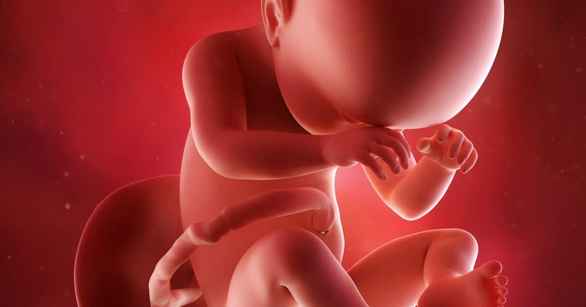 38 Haftalık Gebelikte Anne ve Bebekte Neler Olur? kapak resmi