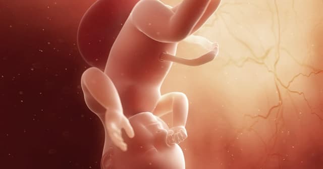 39. Hafta Gebelikte Anne ve Bebek: Gelişim, Semptomlar ve Doğuma Hazırlık image