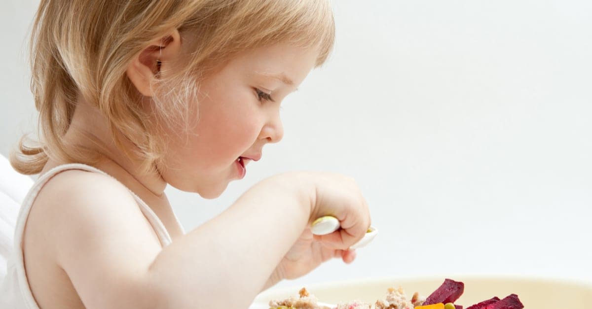2 Yaş Bebek Beslenmesi kapak resmi