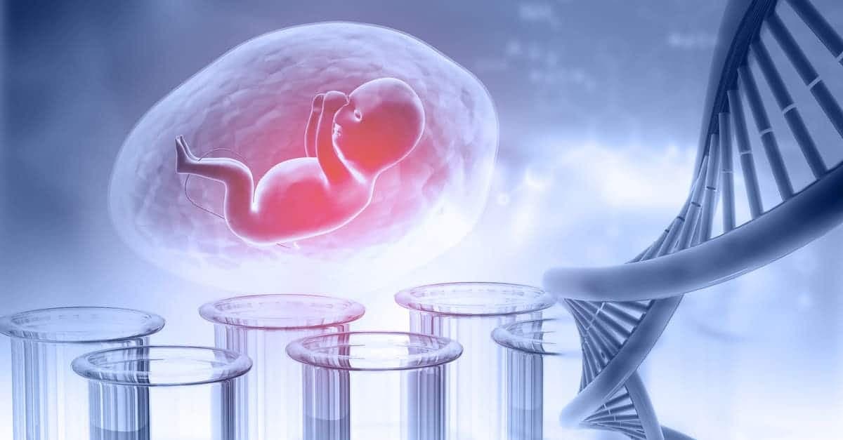 Fetal DNA Testi Nedir? Neden Yapılır? kapak resmi