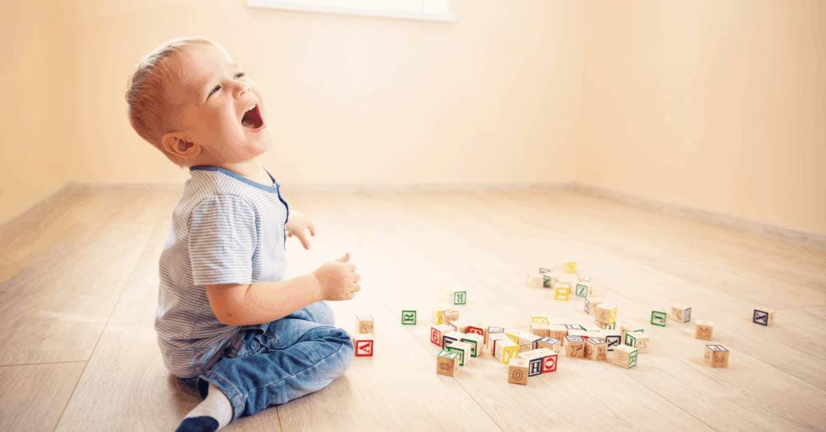 17 Aylık Bebek Gelişimi kapak resmi