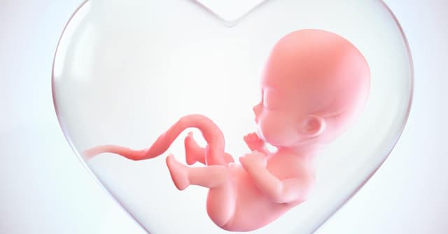 Anne Karnındaki Bebek Nefes Alır mı? image
