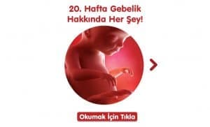 20-hafta-gebelik-hakkinda-hersey
