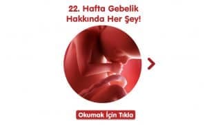 22-hafta-gebelik-hakkinda-hersey