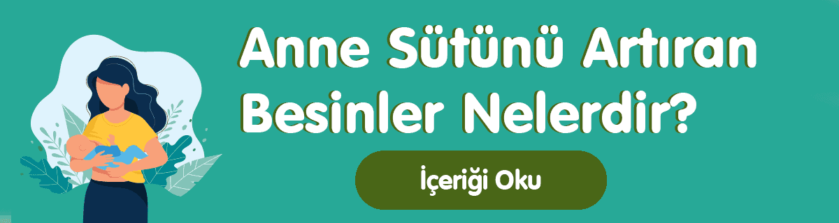 Anne Sütünü Artıran Besinler Nelerdir?