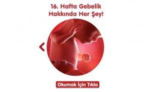 gebelikte-16-hafta