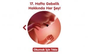 gebelikte-17-hafta