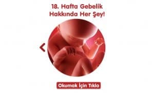 gebelikte-18-hafta