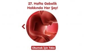 gebelikte-27-hafta