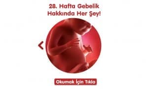 gebelikte-28-hafta