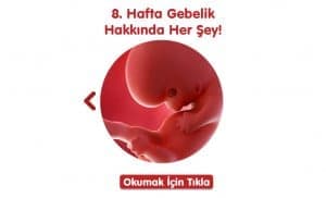 gebelikte-8-hafta