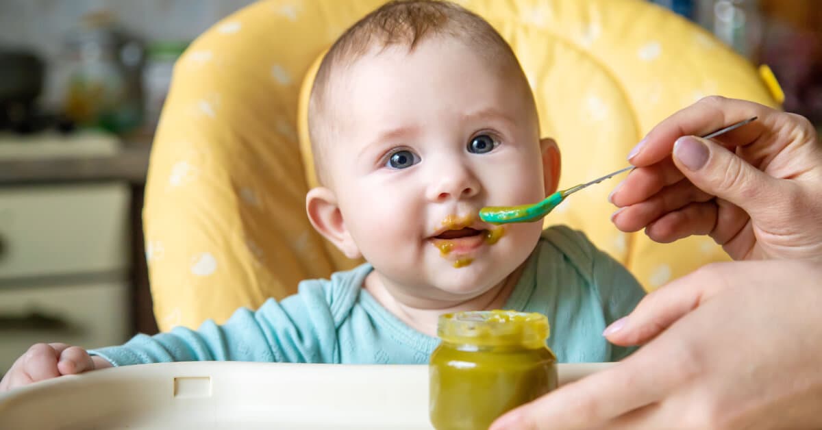 Kavanoz Maması Nedir? Kavanoz Mamasına Ne Zaman Başlanır? kapak resmi