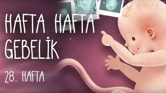 Hafta Hafta Gebelik 28. hafta image