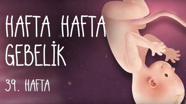 Hafta Hafta Gebelik 39. hafta image