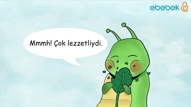 Hikayesi Olan Oyuncaklar | Cesur Tırtıl Papilo image