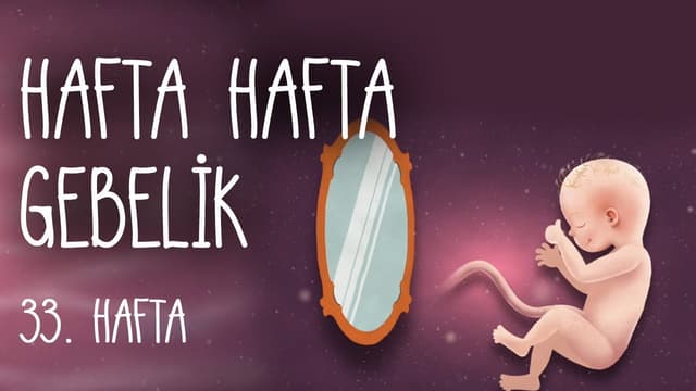 Hafta Hafta Gebelik 33. hafta image