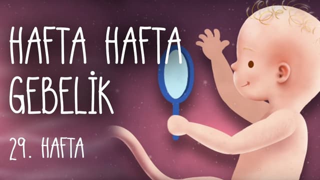 Hafta Hafta Gebelik 29. hafta image