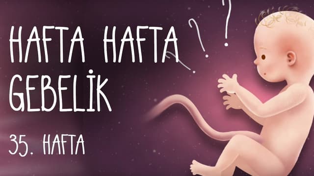 Hafta Hafta Gebelik 35. hafta image