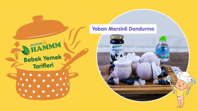 Yaban Mersinli Dondurma | Bebek Yemek Tarifleri | Hammm Vakti image