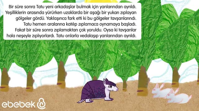 Hikayesi Olan Oyuncaklar | Kâşif Armadillo Tatu image