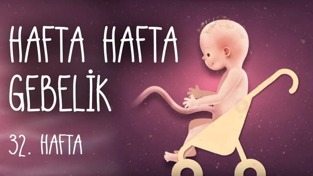 Hafta Hafta Gebelik 32. hafta image