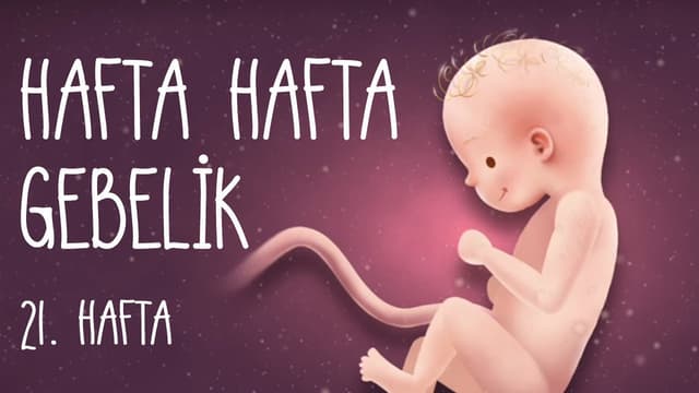 Hafta Hafta Gebelik 21. hafta image