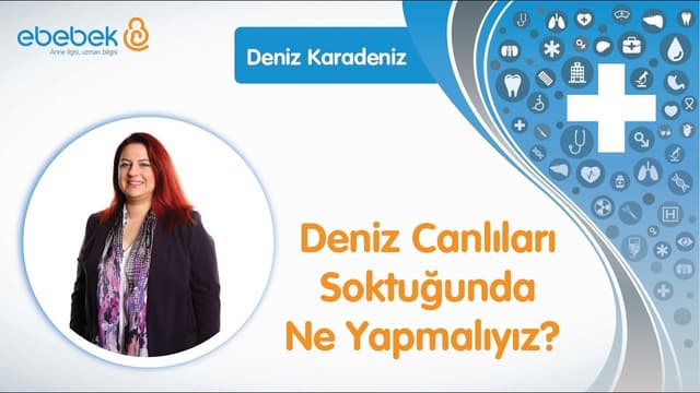 Bebeği Deniz Canlılarının Sokması Durumunda Neler Yapmalı? Deniz Karadeniz Bebekler İçin İlk Yardım image
