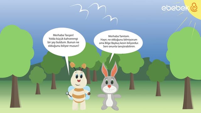 Hikayesi Olan Oyuncaklar | Maceracı Arı Tamtam image