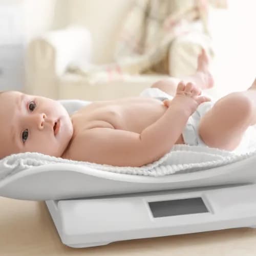 Avokadolu Smoothie Bowl | Bebek Yemek Tarifleri | Hammm Vakti image