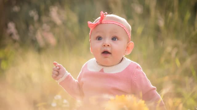 Hafta Hafta Gebelik 8. haftaa image