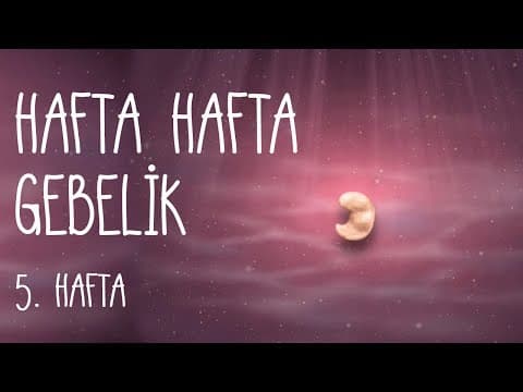 Hafta Hafta Gebelik image
